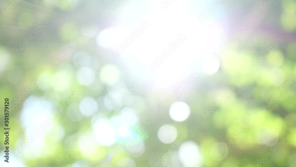 Abstract bokeh background of green leaves with len flare and beautiful sunlight glimmering through the trees in Asia, Thailand. Nature pattern and ecosystem concepts.