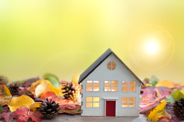 Miniature house in autumn