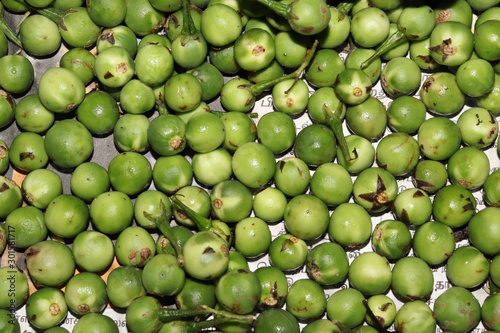 Green bitter berries.