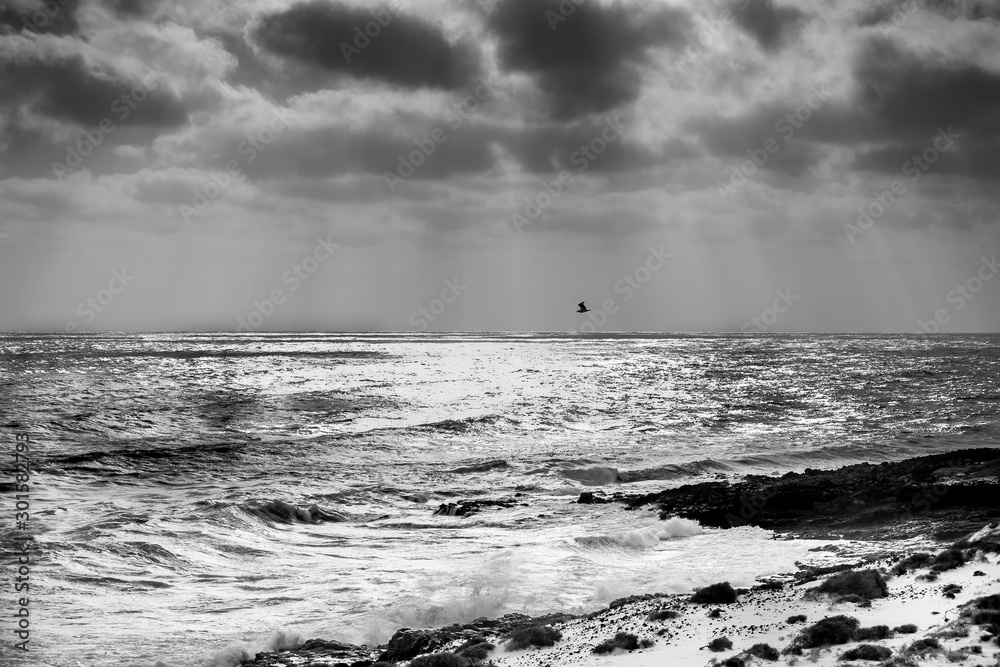 A lone seagull flies over the sea against a dramatic sky with rays of sunlight filtering through the black clouds