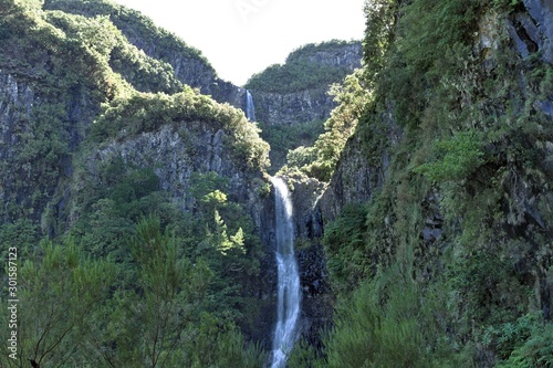  Risco  waterfall in the forest of Madeira island  Portugal  Europe 