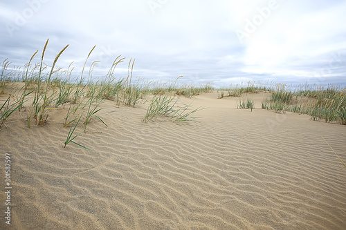 desert landscape / sand desert, no people, dune landscape