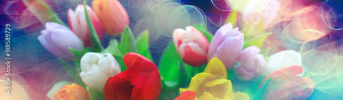 bouquet of colorful tulips / spring flowers, bright beautiful flowers, spring gift concept