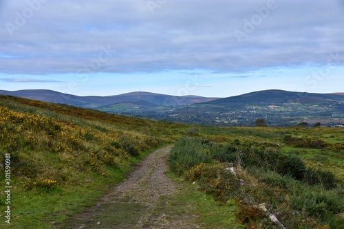 ireland landscape - road and view on the wicklow mountains