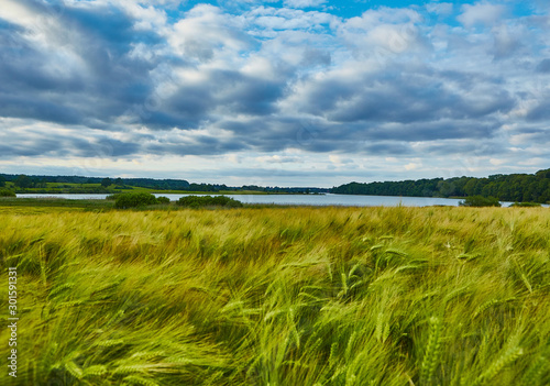 Billede på lærred landschaft schleswig holstein