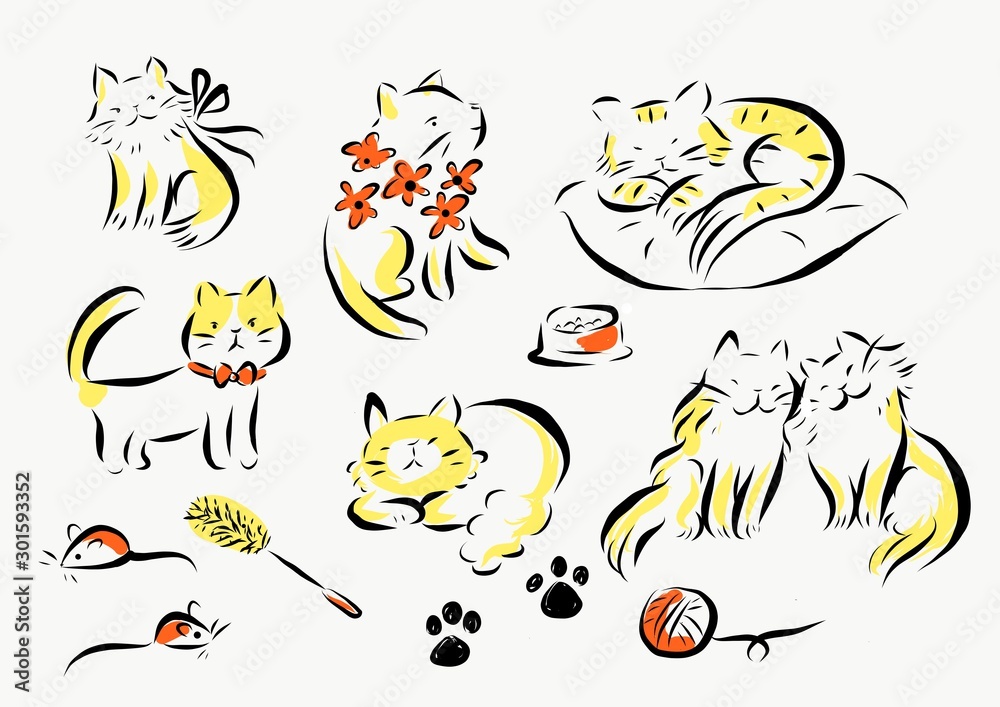 猫 猫