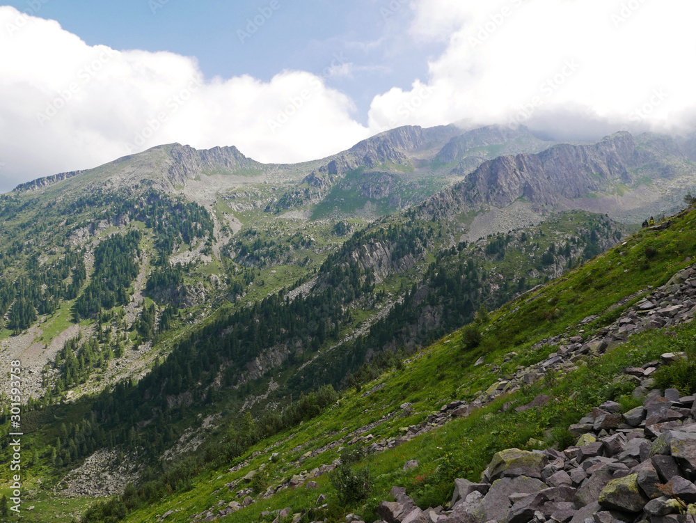 cime dolomitiche italiane in estate, tra rocce e vallate verdi cime dolomitiche italiane in estate, tra rocce e vallate verdi