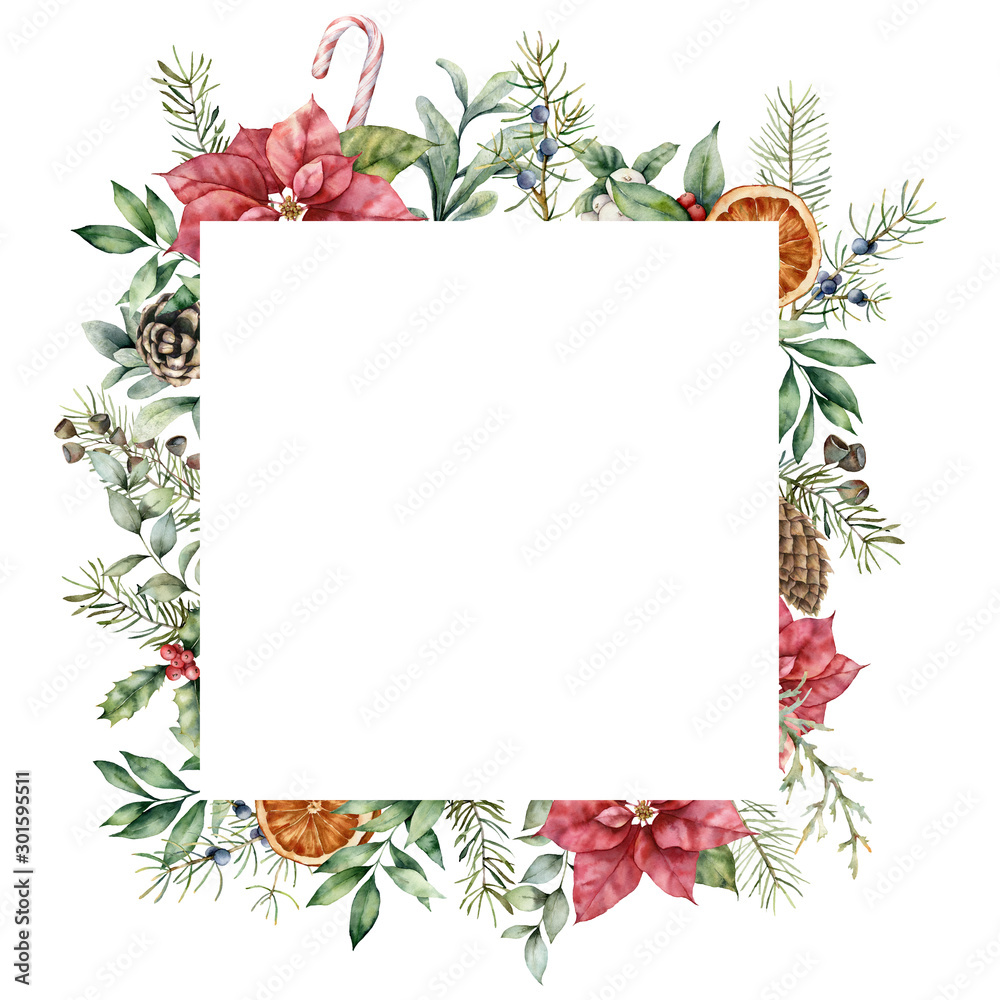 Watercolor Christmas frame with poinsettia decor. Hand painted fir card with leaves, pine cones, holly, branches and orange isolated on white background. Floral illustration for design or print.