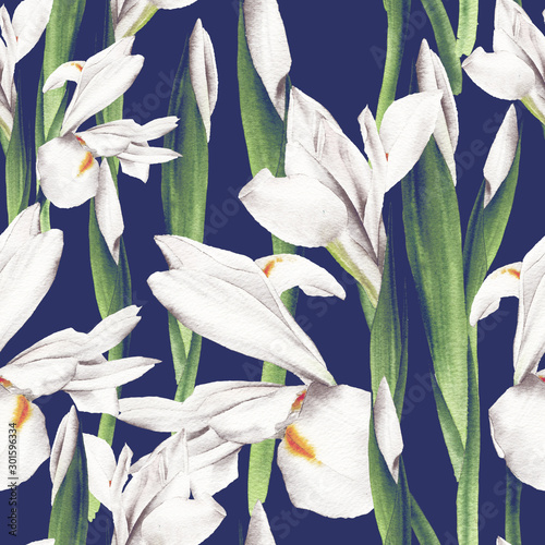 Seamless floral pattern with irises, watercolor.