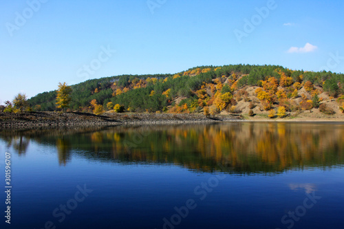 Autumn colorful forest over lake in green and yellow colors. Fall landscape.