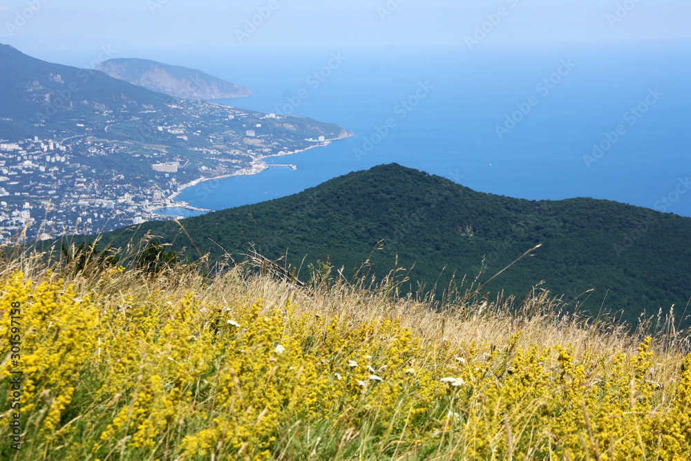 View from the mountain peak. Sea, yellow flowers field and rocks in a sunny day