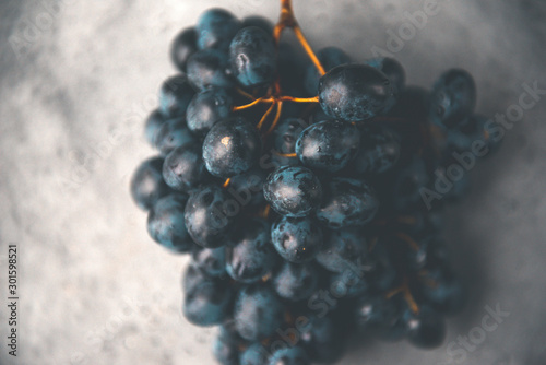 Obraz na plátně bunch of dark grapes on a gray background, berries of sweet grapes