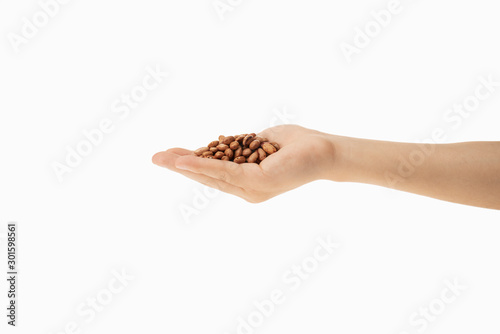 brown bean in hands with white background