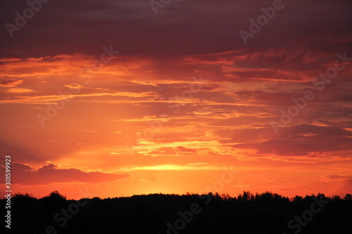 Beautiful sunset over the field