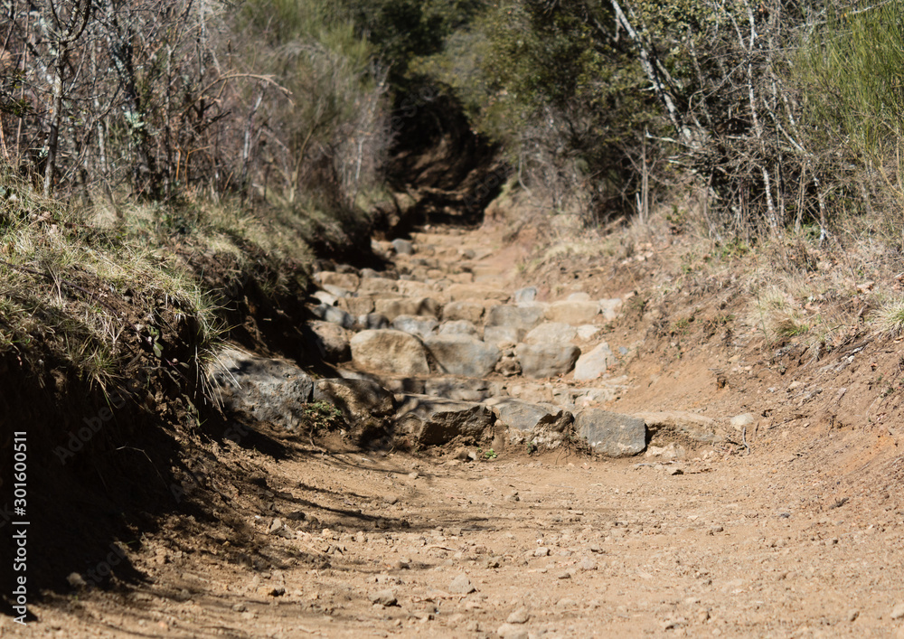 Rock steps on the mountain trek