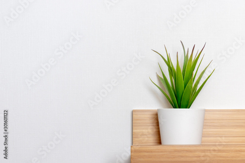 Potted green plant in white flowerpot on wooden shelf in front of white wall with copy space, minimalistic scandinavian interior