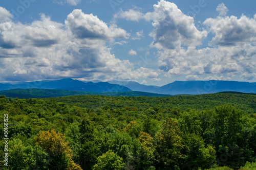 view of the forest and mountains in summer