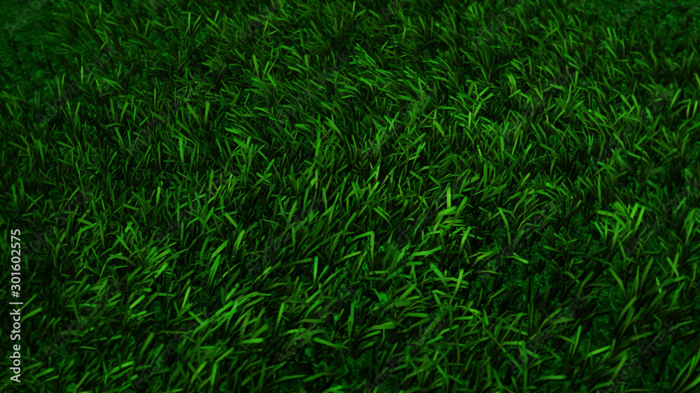Rrealistic 3D rendering texture of grass Rrealistic 3D rendering texture of grass