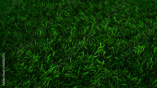 Rrealistic 3D rendering texture of grass