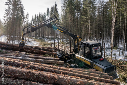 Forestry. Logger loads timber in winter woods