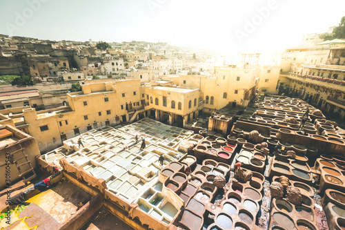 Leather tanning in Fez - Morocco photo