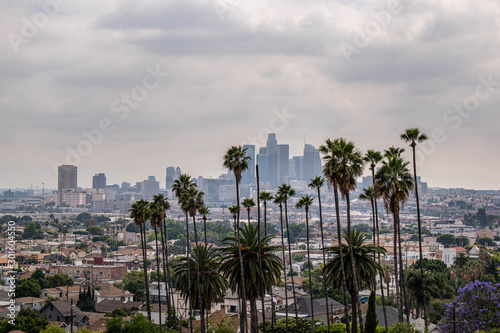 View of Los Angeles, CA with palm trees and moody sky © Lisa