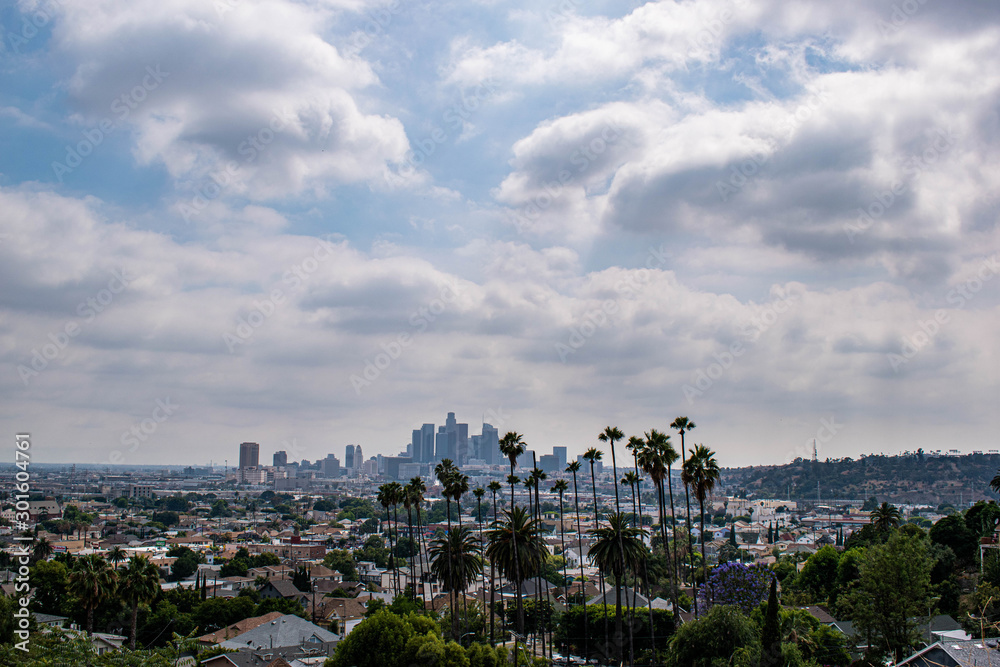 Obraz premium View of Los Angeles, CA with palm trees and moody sky