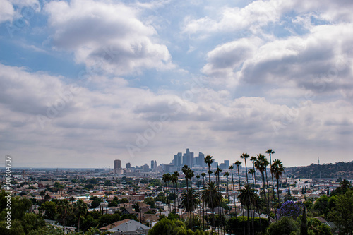 View of Los Angeles, CA with palm trees and moody sky