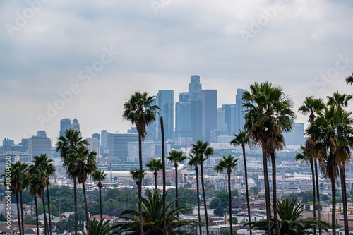 View of Los Angeles  CA with palm trees and moody sky