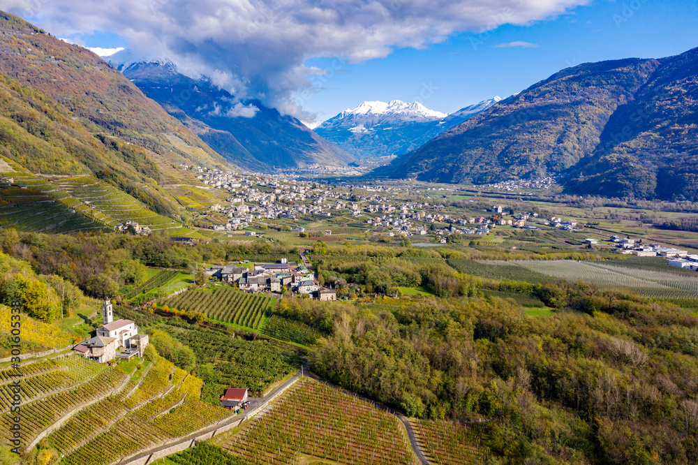 Valtellina (IT) - Terrace vineyard in the Bianzone area