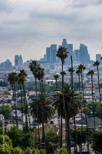 View of Los Angeles, CA with palm trees and moody sky