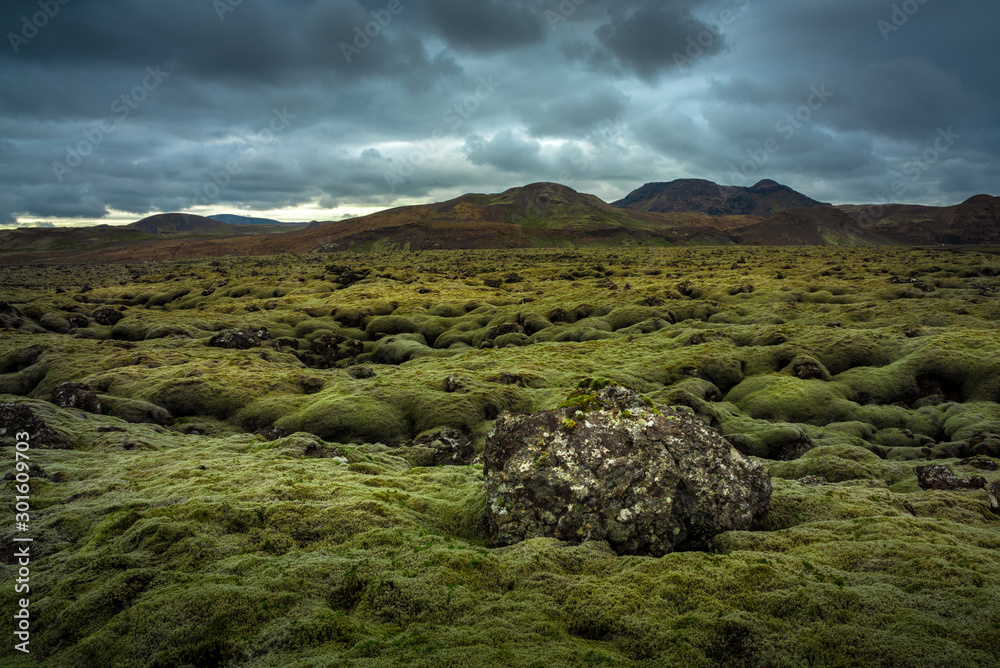 The mossy lava fields of Iceland