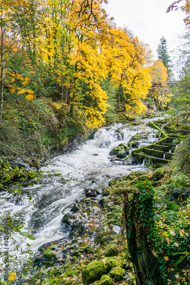 Tumwater Falls Park Rapids 5