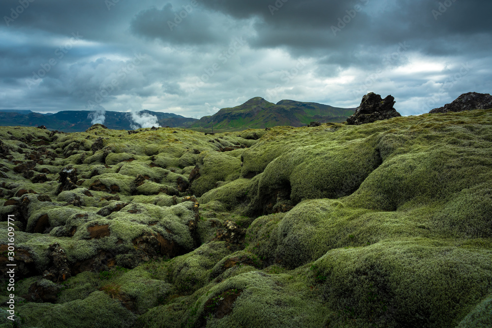Mossy lava fields of Iceland