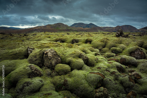 Greeen moss covered volcanic lava field