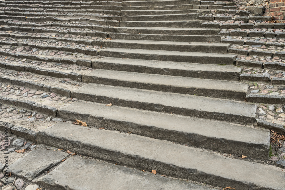 Stone stairs in a park.
