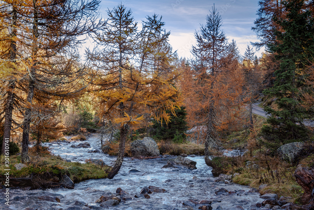 Wildbach im Ultental - Südtirol - Italien Wildbach im Ultental - Südtirol - Italien