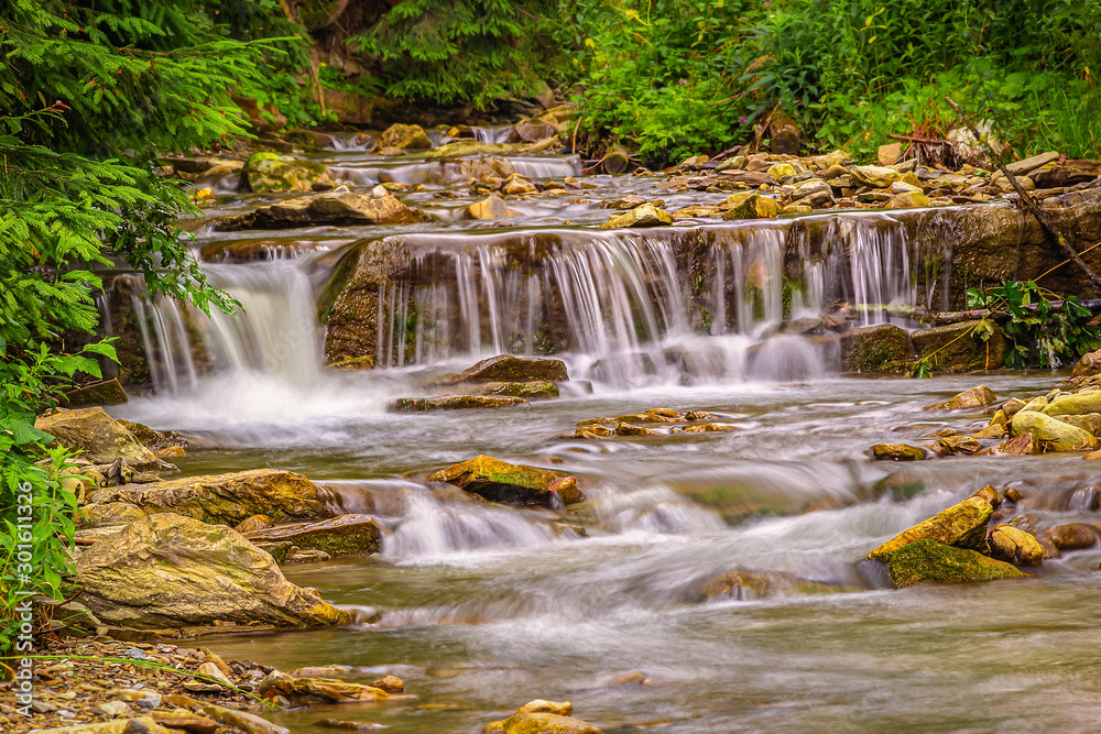 Fototapeta premium Ukraine, Carpathians. The rapids of a mountain river, a tributary of the Black Cheremosh. Beautiful summer landscape.