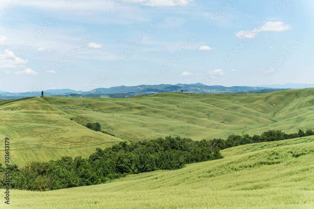 landscape with green fields and blue sky in Tuscany, Italy