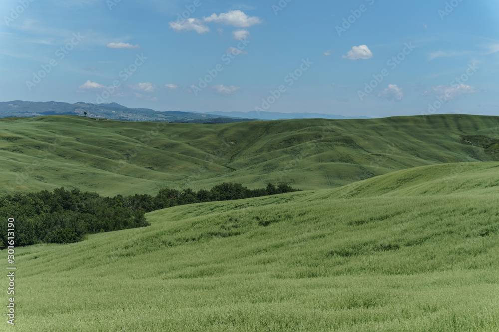 landscape with green fields and blue sky in Tuscany, Italy landscape with green fields and blue sky in Tuscany, Italy