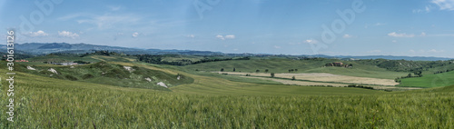 landscape with green fields and blue sky in Tuscany, Italy