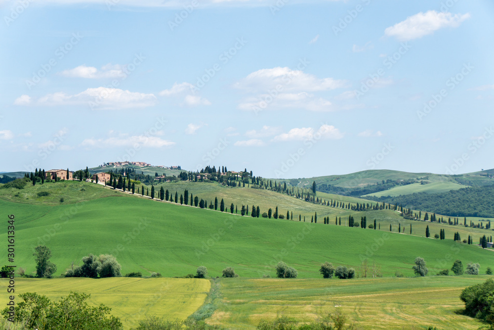landscape with green fields and blue sky in Tuscany, Italy landscape with green fields and blue sky in Tuscany, Italy