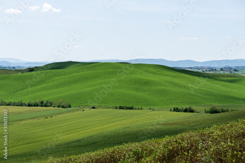 landscape with green fields and blue sky in Tuscany  Italy