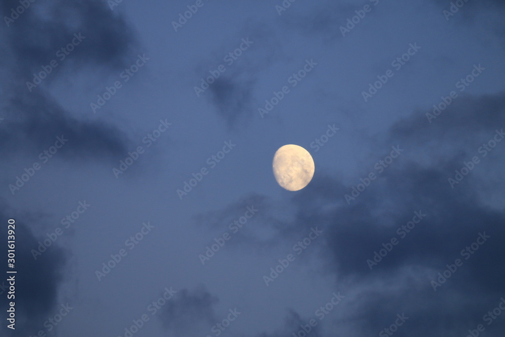 Obraz premium full moon in the sky