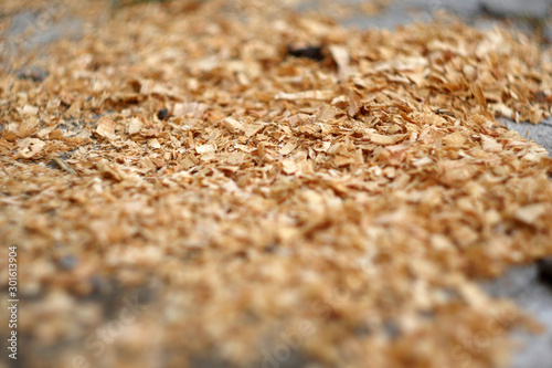 Close up saw dust. Wooden industry. Sawmill photo