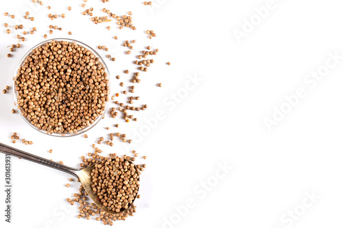 Coriander grains in a wooden spoon on a white background. Concept, copy space. photo