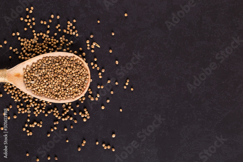 Coriander grains in a wooden spoon are scattered on a black background. Concept, copy space.