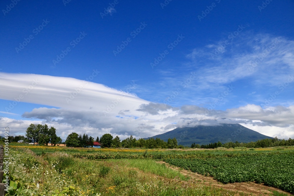 Fototapeta premium 山麓の農家