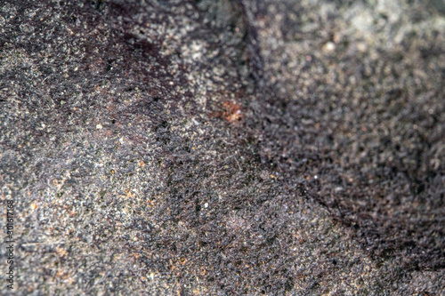 Close Up of Volcanic Quartz Rock