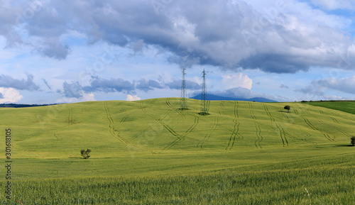Rolling Hills and Grassland Landscapes with trees in Val d'Orcia, Tuscany, Italy © Sen